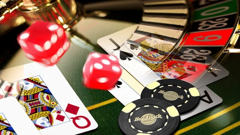 Fascinating live casino products